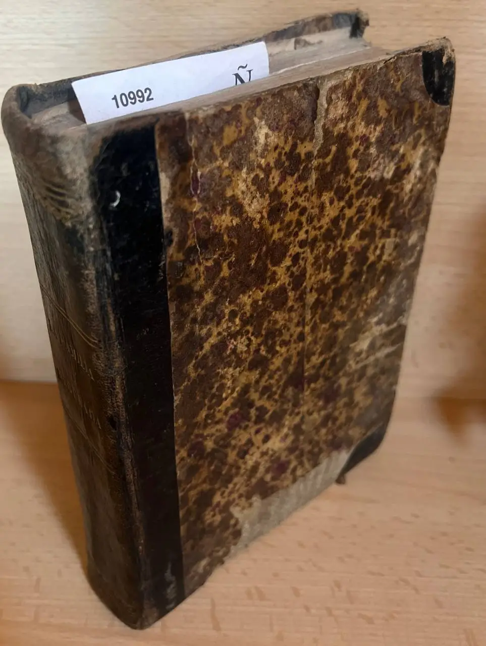 LA FAMILIA REGULADA.