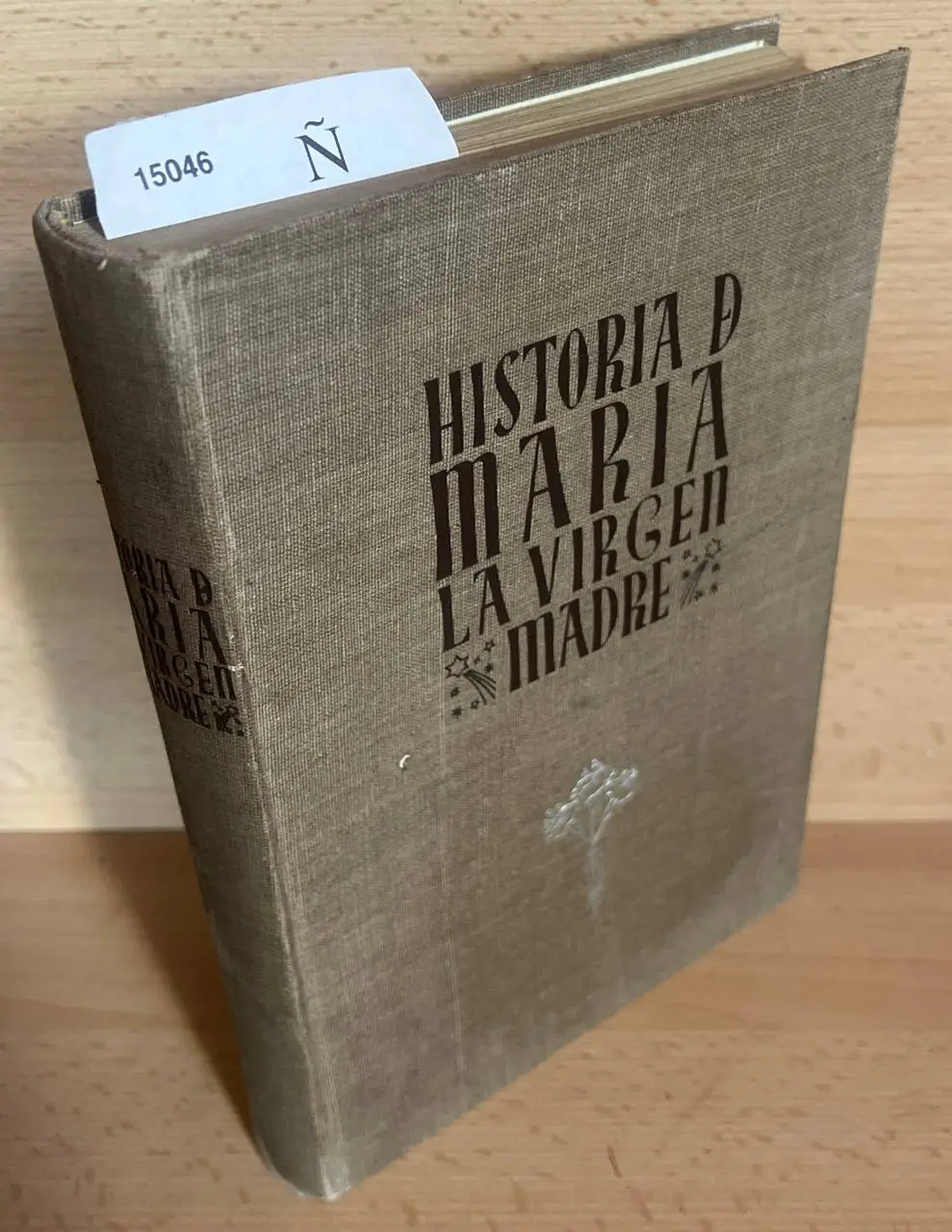HISTORIA DE MARIA LA VIRGEN Y MADRE.