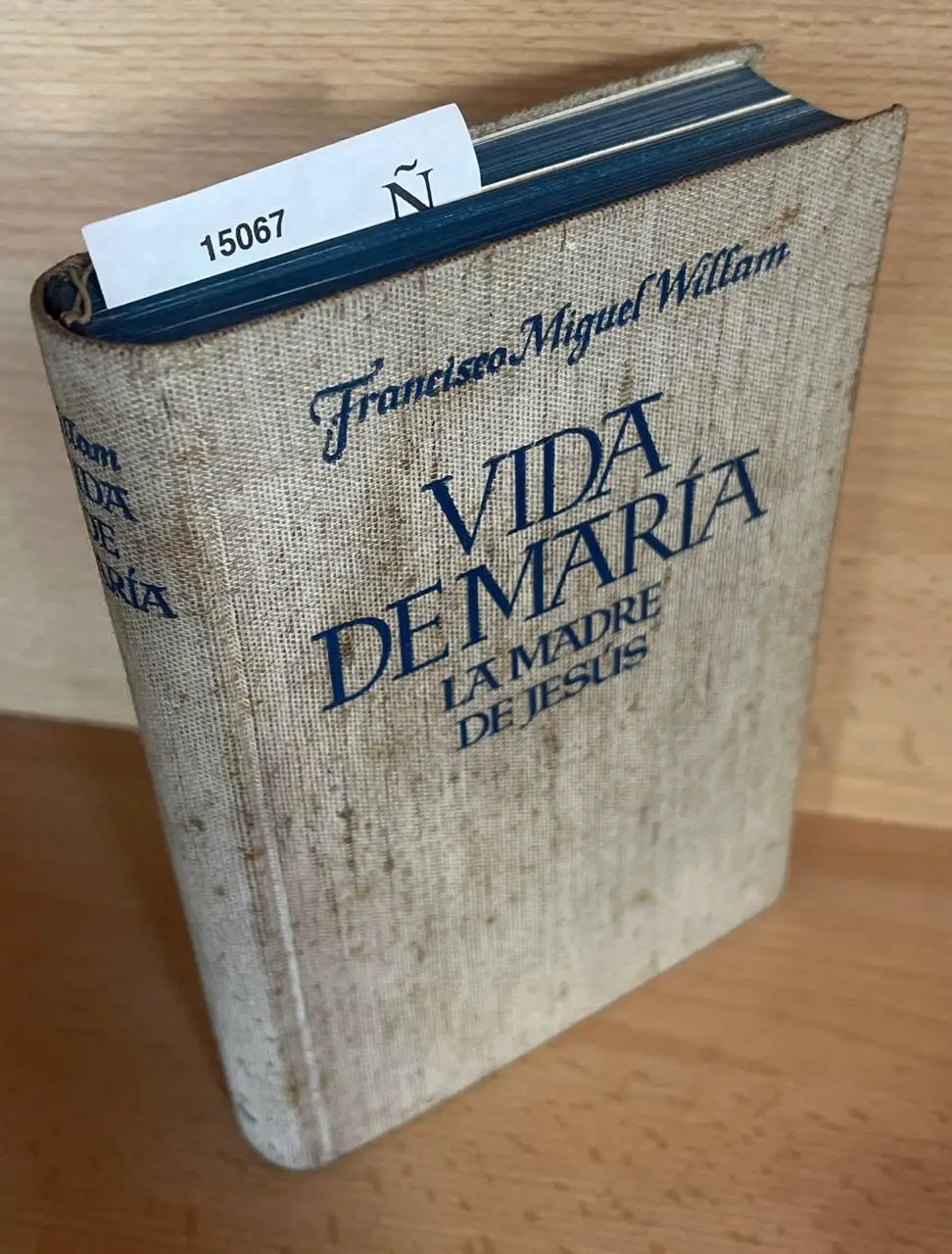 VIDA DE MARIA, LA MADRE DE JESUS.