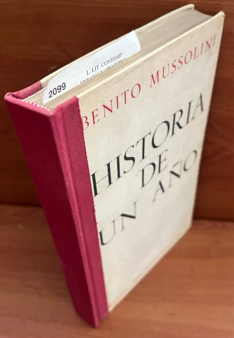 Historia de un año