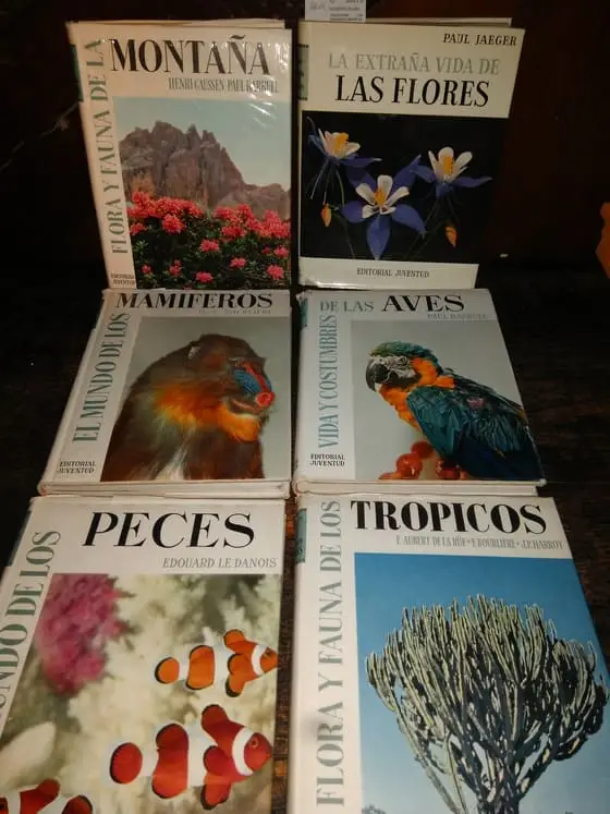 COLECCION: LOS GRANDES LIBROS DE LA NATURALEZA (6 VOLUMENES) LA EXTRAÑA VIDA DE LAS FLORES / EL MUNDO DE LOS PECES / VIDA Y COSTUMBRES DE LAS AVES/ EL MUNDO DE LOS MAMIFEROS/ FLORA Y FAUNA DE LA MONTAÑA / FLORA Y FAUNA DE LOS TROPICOS.