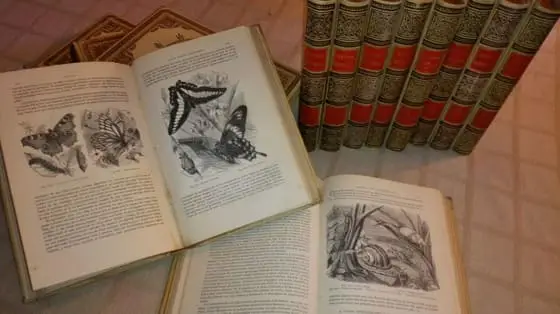 HISTORIA NATURAL. Novisima edicion profusamente ilustrada (13 VOLUMENES)