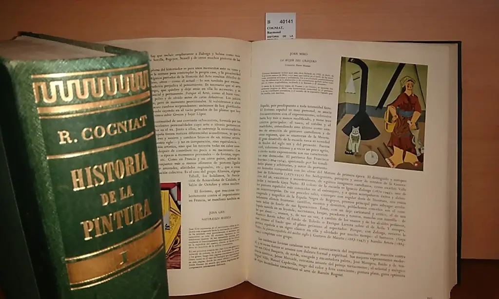 HISTORIA DE LA PINTURA (2 VOLUMENES)