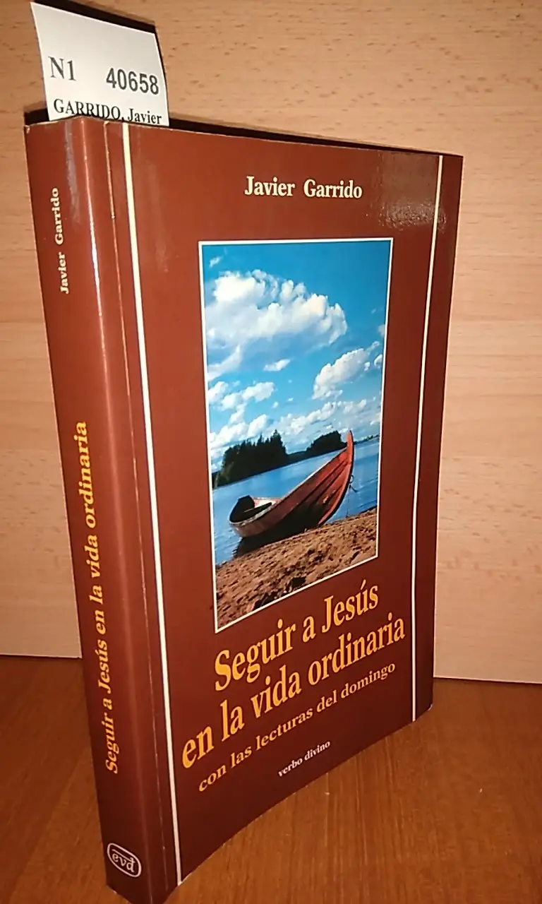 SEGUIR A JESUS EN LA VIDA ORDINARIA con las lecturas del domingo