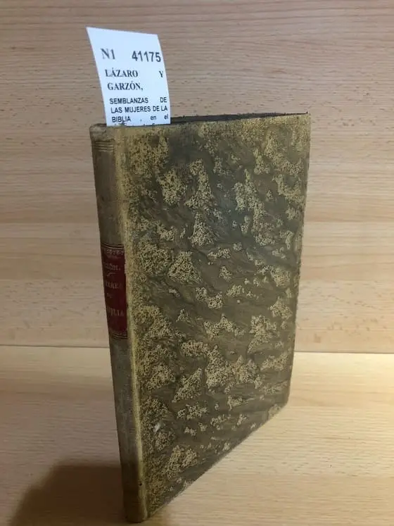 SEMBLANZAS DE LAS MUJERES DE LA BIBLIA , en el concepto de figuras histórico proféticas de la Santísima Virgen María  por el muy Ilustre Señor —