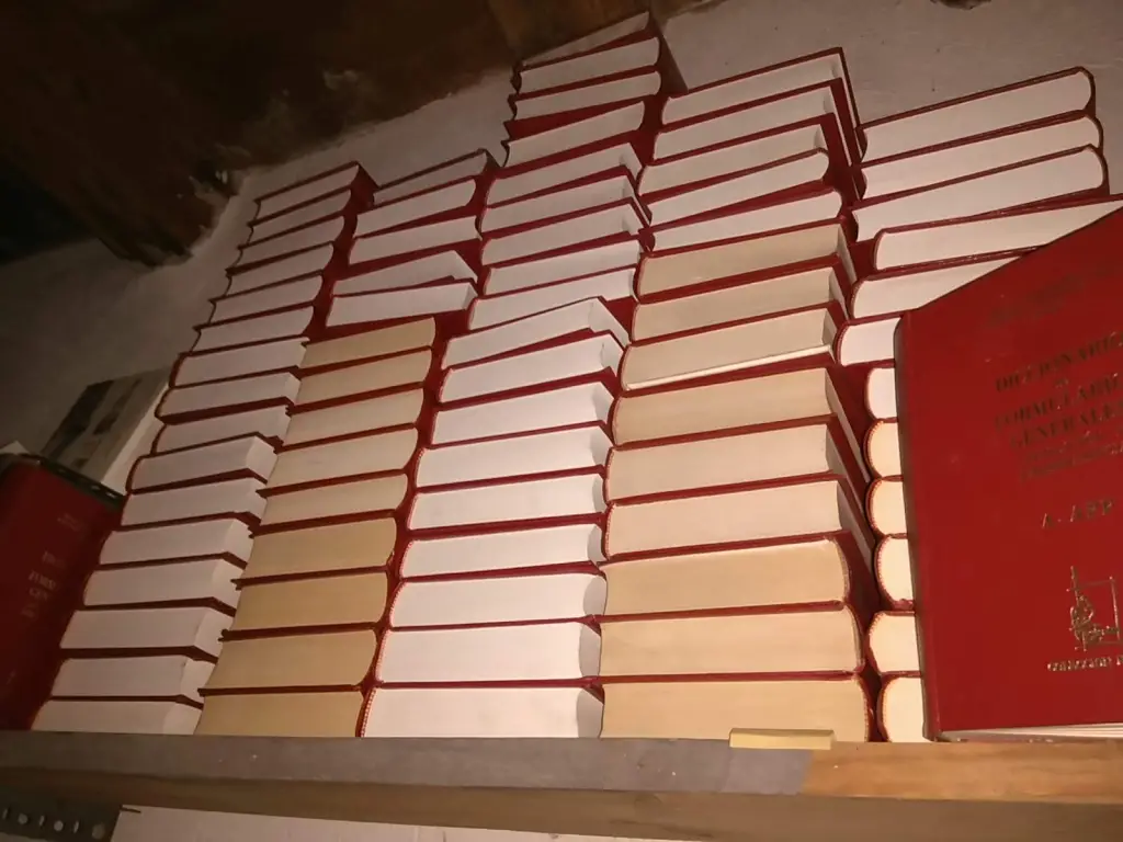 DICCIONARIO DE FORMULARIOS GENERALES LEGISLACION Y JURISPRUDENCIA