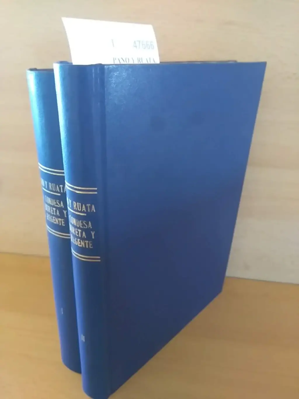 LA CONDESA DE BURETA Dª MARIA CONSOLACION DE AZLOR Y VILLAVICENCIO Y EL REGENTE DON PEDRO Mª RIC Y MONSERRAT. EPISODIOS Y DOCUMENTOS DE LOS SITIOS DE ZARAGOZA por D. —