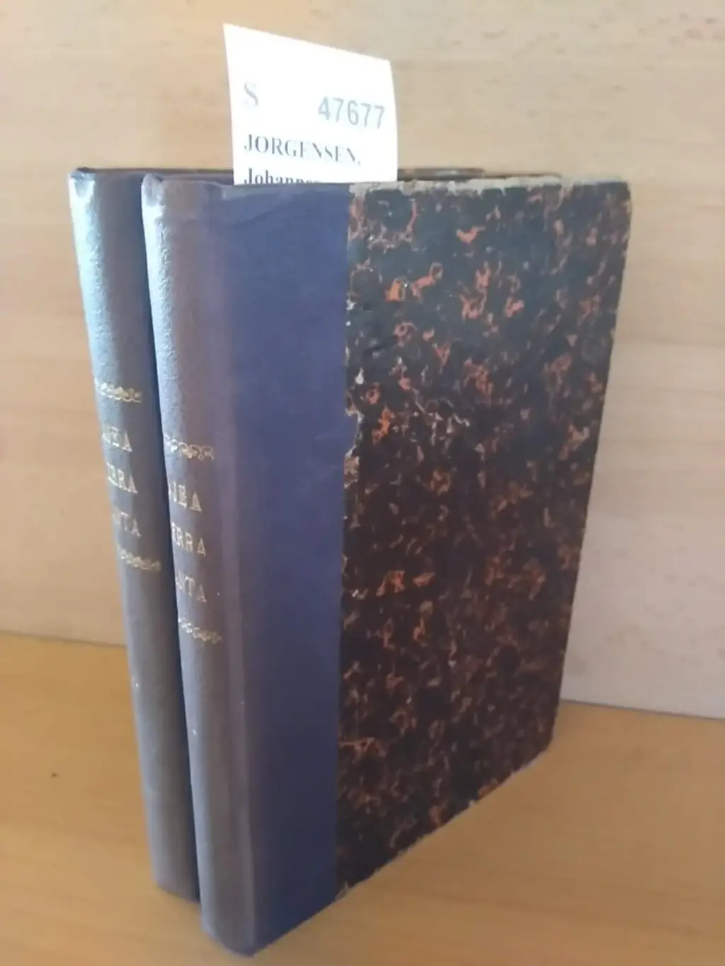 VIAJE A TIERRA SANTA. TRADUCCION DIRECTA DEL DANES por Emilio Mª Martínez Amador