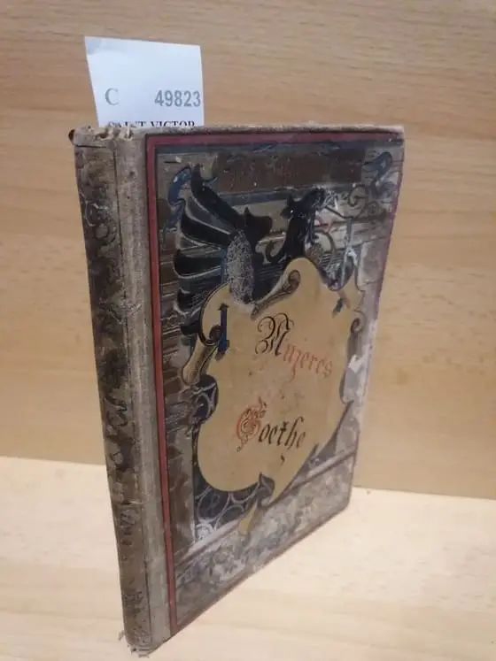 MUJERES DE GOETHE