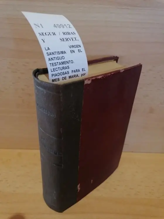 LA VIRGEN SANTISIMA EN EL ANTIGUO TESTAMENTO. LECTURAS PIADOSAS PARA EL MES DE MARIA, por Monseñor de —. / … EN EL NUEVO TESTAMENTO… / … EN EL NUEVO TESTAMENTO… CONTINUACION