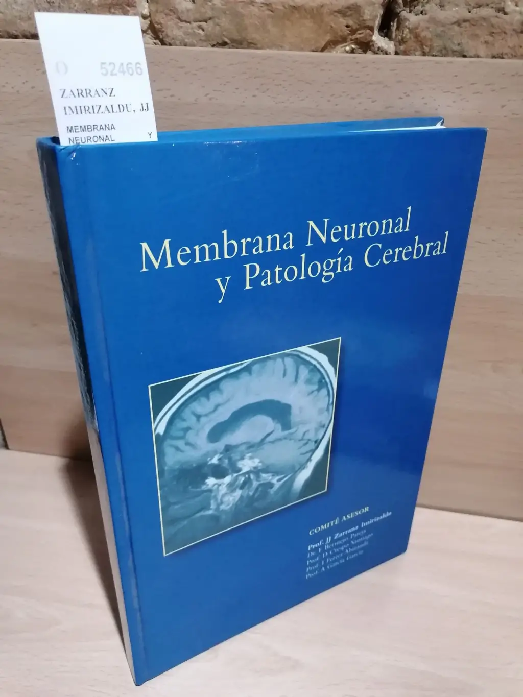 MEMBRANA NEURONAL Y PATOLOGIA CEREBRAL