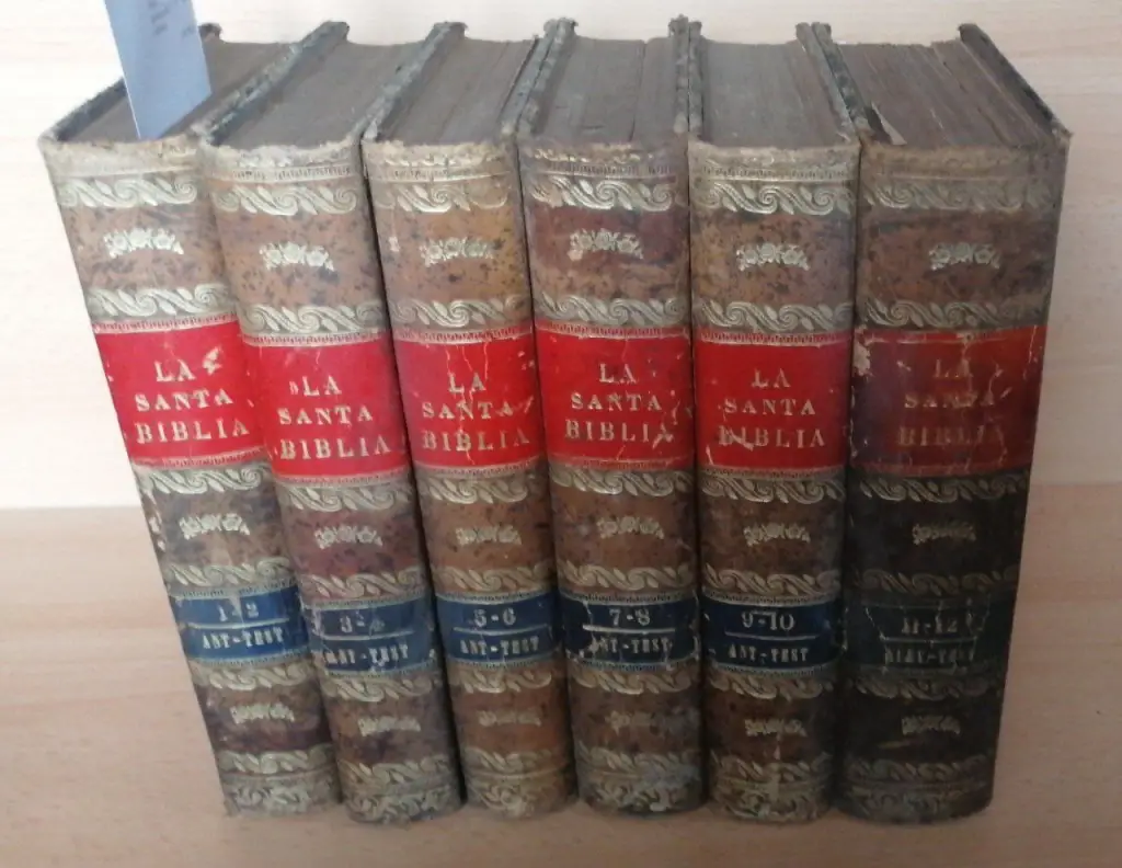 LA SANTA BIBLIA VULGATA LATINA (6 VOLUMENES) y su traducción al español por el Ilmo. Dr. D. — con notas de este y del Ilmo. P. —. CRONOLOGIAS del Rdo. P. Fidel Fita, S.J.. Comentarios y Vindicias.
