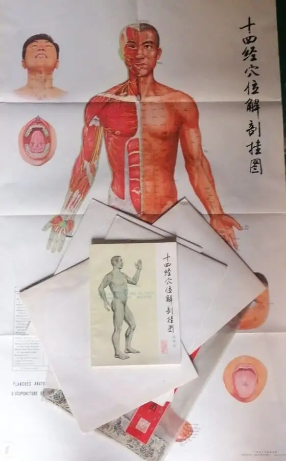 PLANCHES ANATOMIQUES DES PONTS DACUPUNCTURE ET DES 14 MERIDIENS. 6 GRANDES LAMINAS A COLOR + CAHIER DEXPLICATIONS