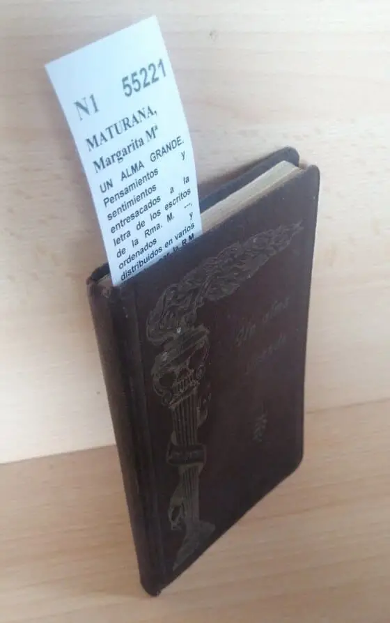 UN ALMA GRANDE. Pensamientos y sentimientos entresacados a la letra de los escritos de la Rma. M.  —, ordenados y distribuidos en varios capitulos por la R.M. Maria Ines de Cue