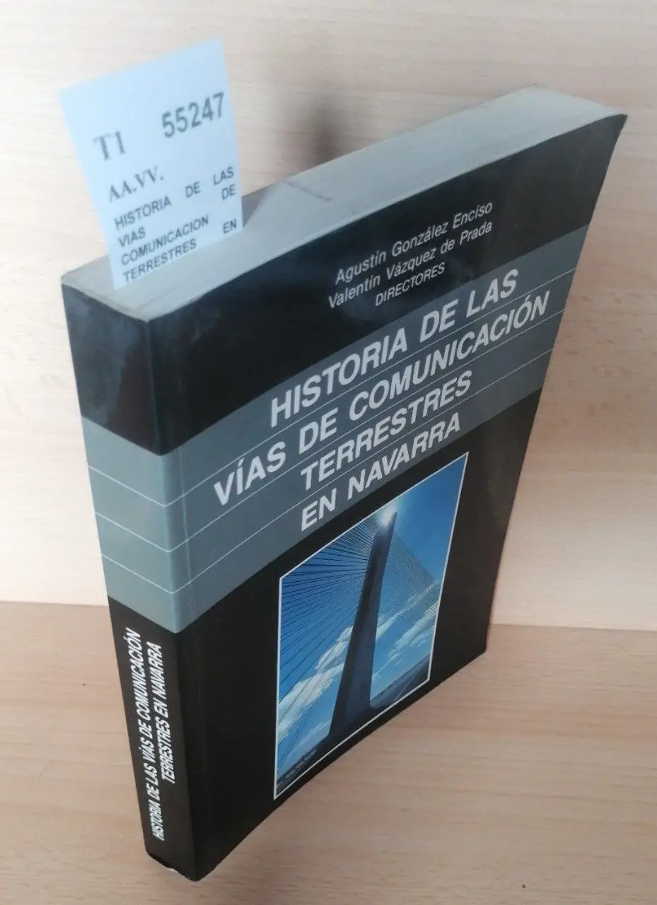 HISTORIA DE LAS VIAS DE COMUNICACION TERRESTRES EN NAVARRA