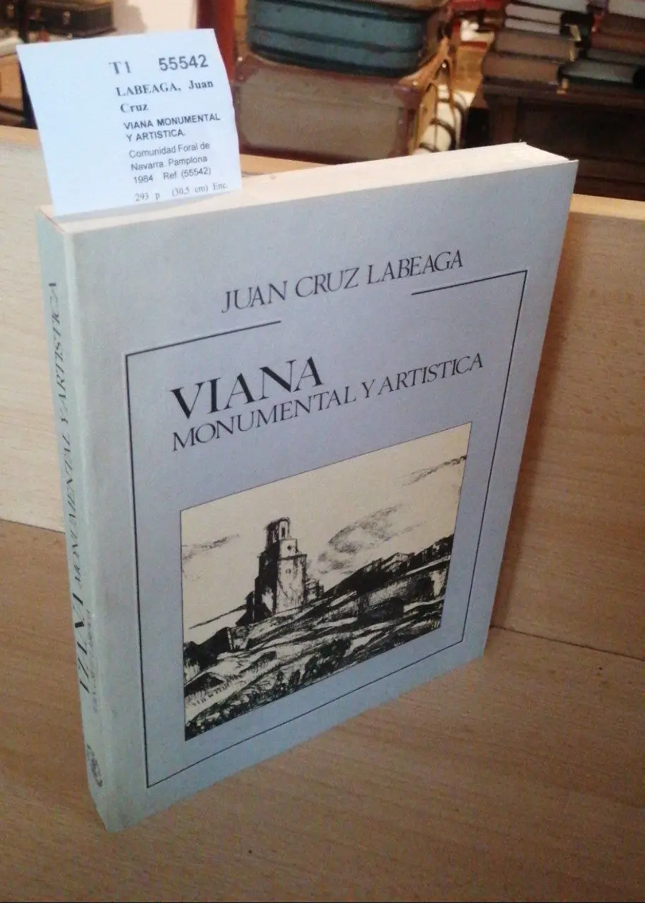VIANA MONUMENTAL Y ARTISTICA.