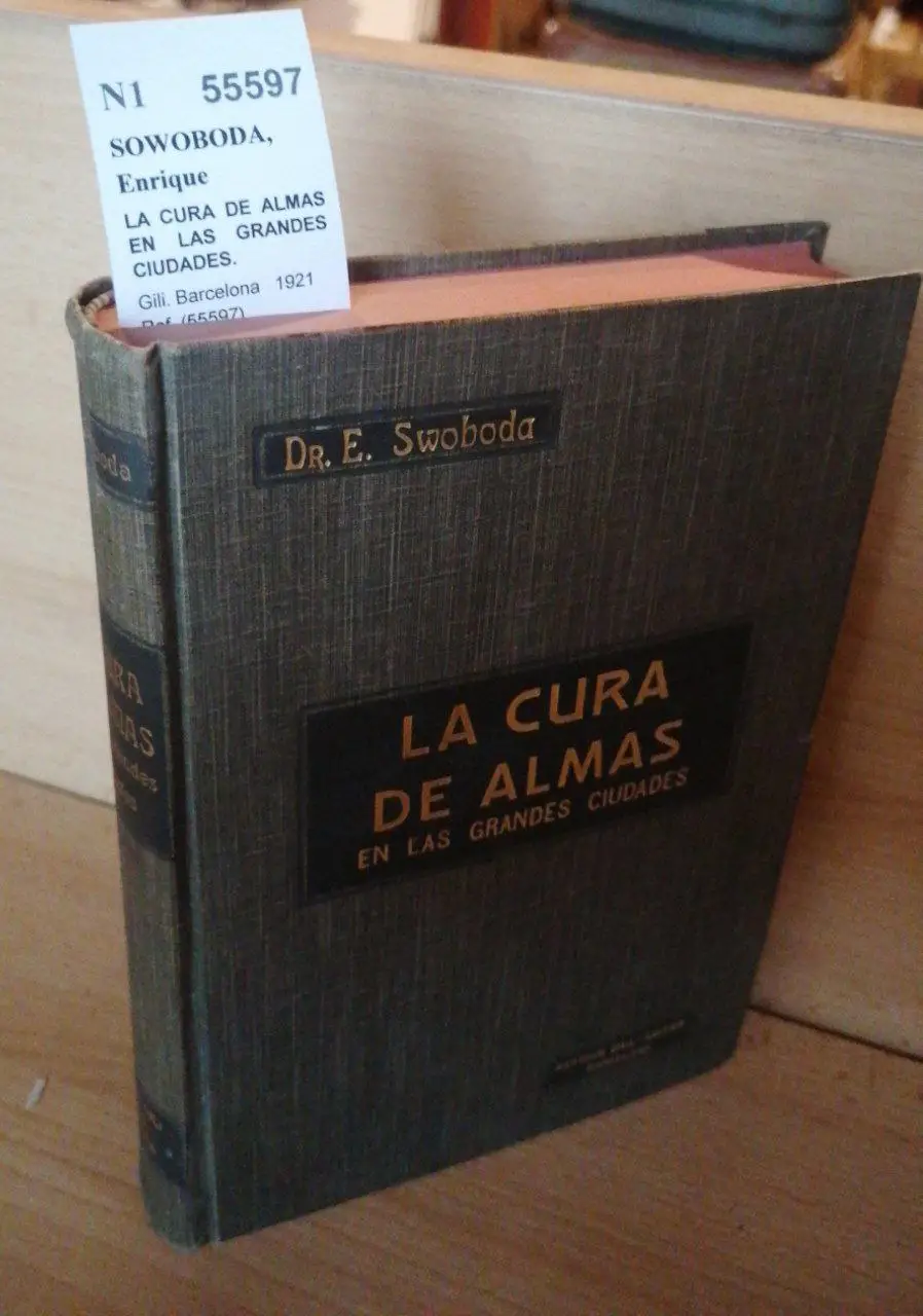 LA CURA DE ALMAS EN LAS GRANDES CIUDADES.