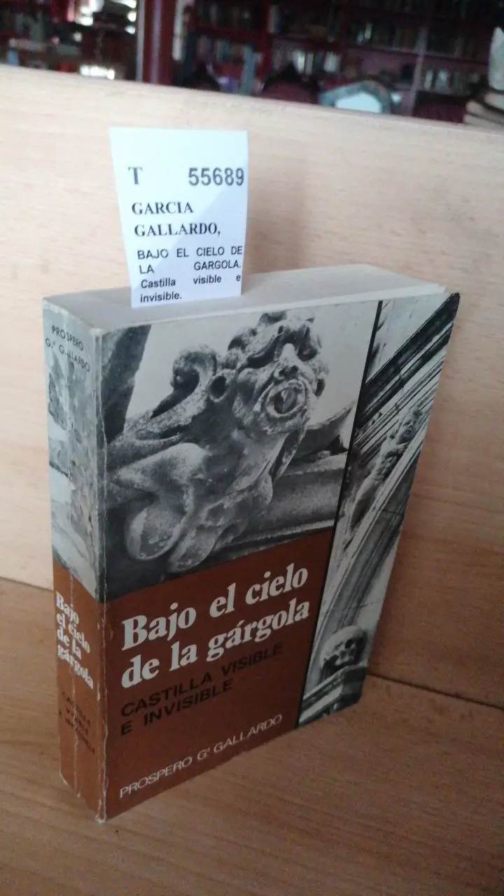 BAJO EL CIELO DE LA GARGOLA. Castilla visible e invisible.