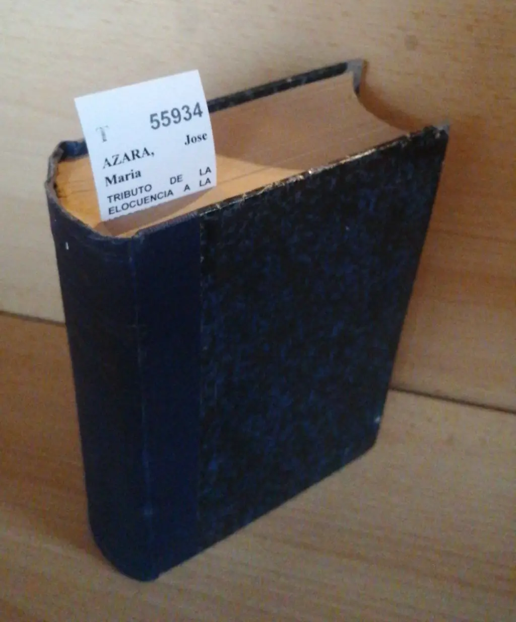 TRIBUTO DE LA ELOCUENCIA A LA VIRGEN DEL PILAR