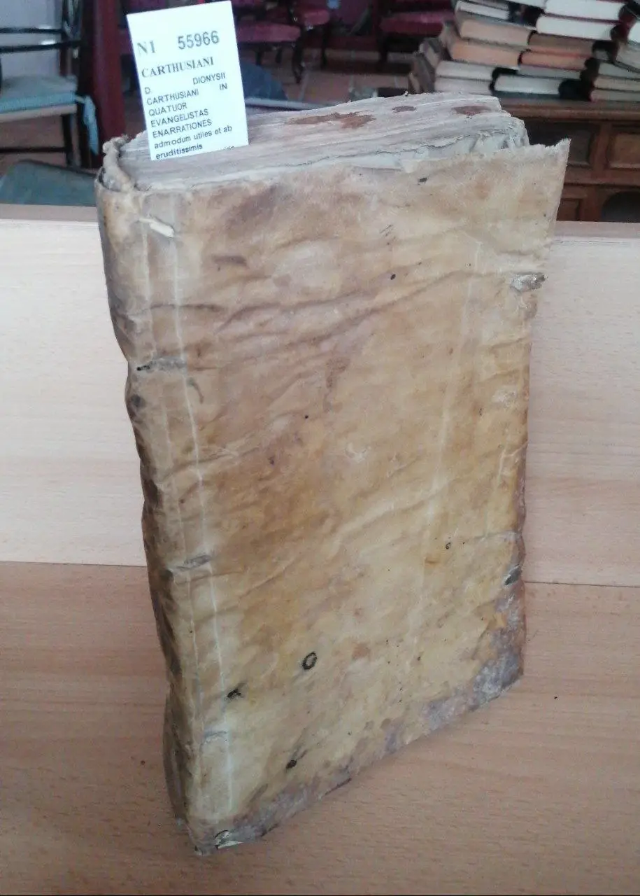 D. DIONYSII CARTHUSIANI IN QUATUOR EVANGELISTAS ENARRATIONES admodum utiles et ab eruditissimis optimisque viris permultum desideratae..