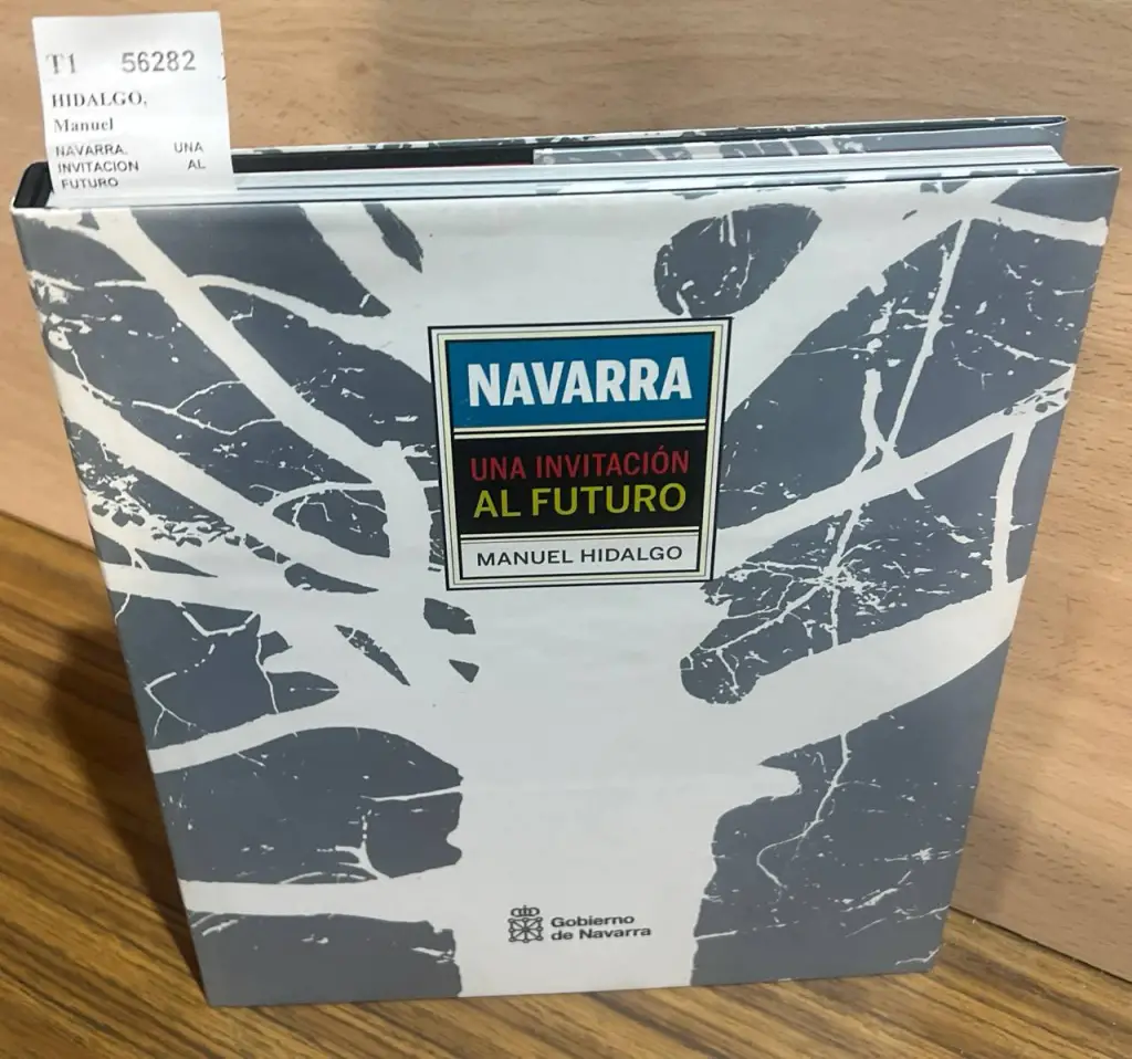NAVARRA. UNA INVITACION AL FUTURO
