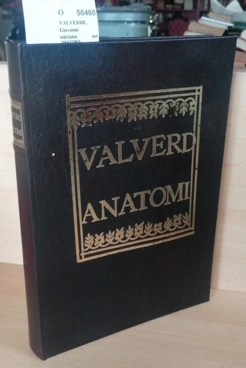 HISTORIA dell´ANATOMIA