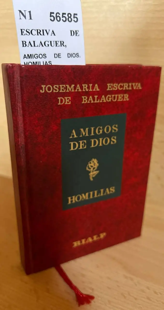 AMIGOS DE DIOS. HOMILIAS