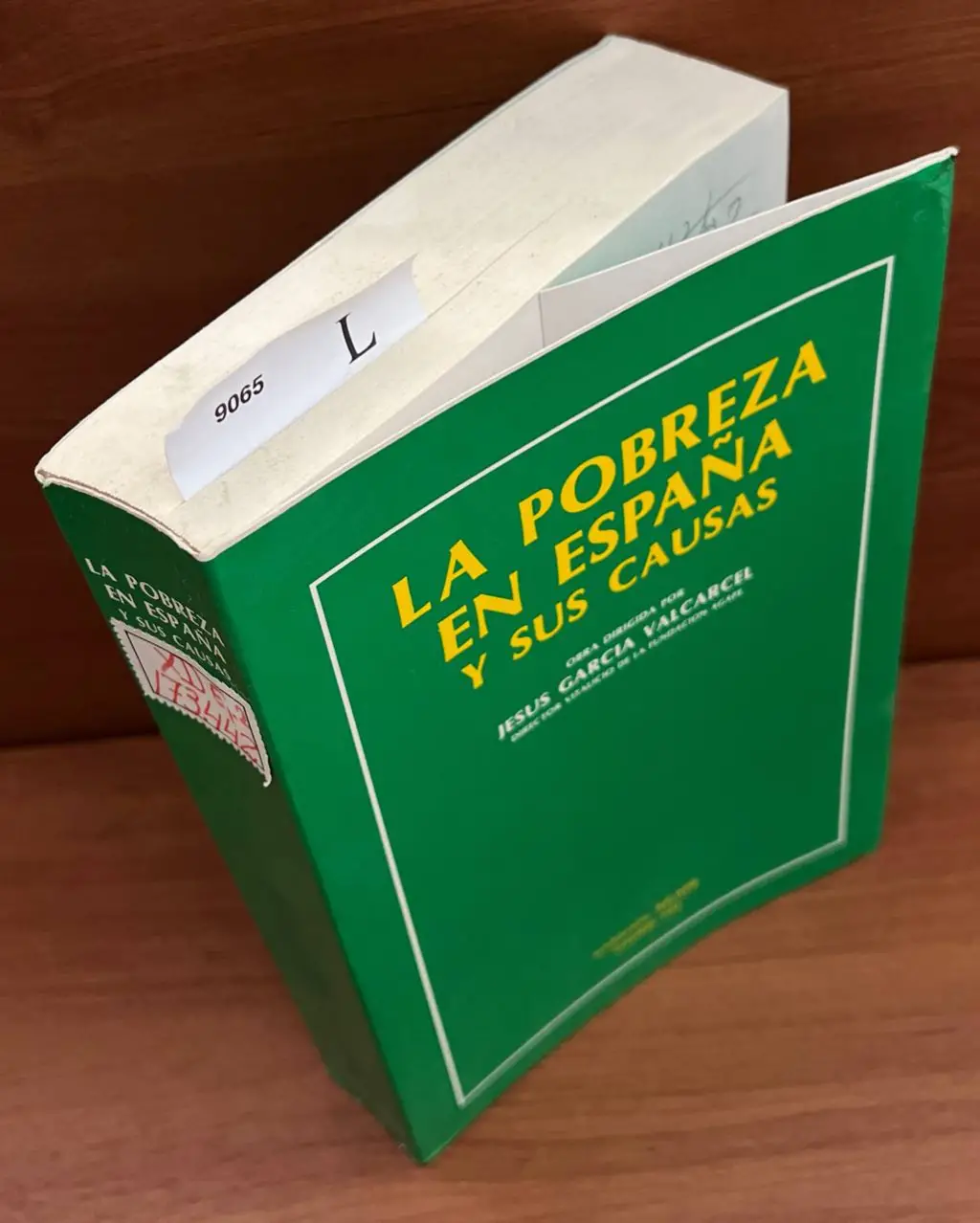 La pobreza en España y sus causas / obra dirigida por Jesus Garcia Valcarcel